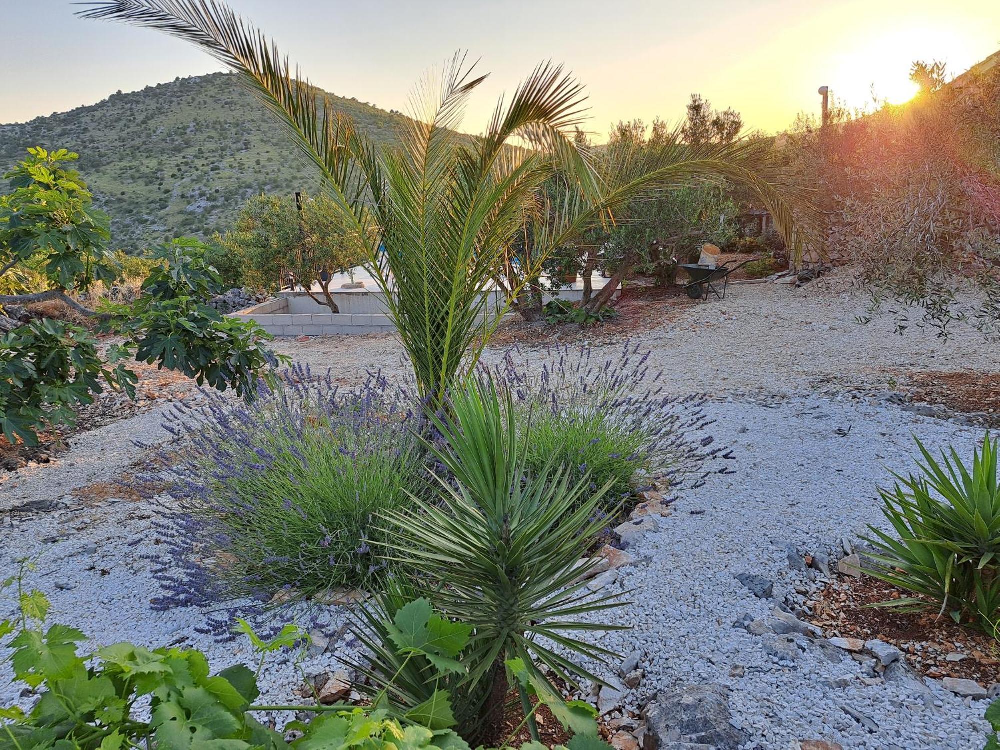Villa Casa Mia Gornji Seget Kültér fotó