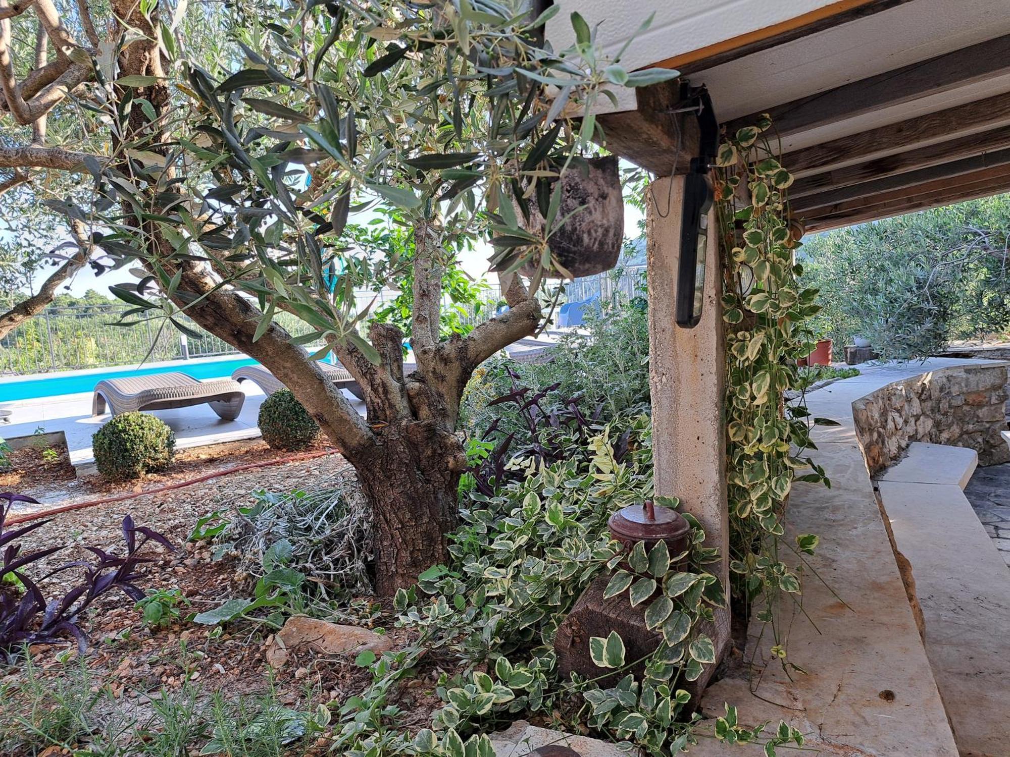 Villa Casa Mia Gornji Seget Kültér fotó